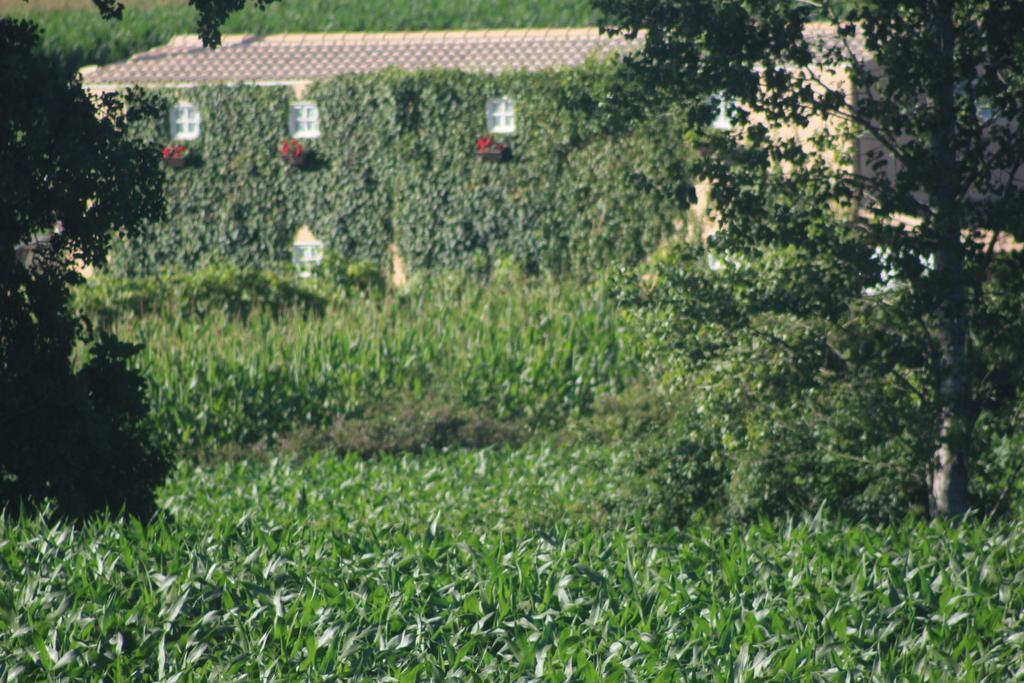 Maison d'hôtes Casa Do Moinho à Ovar Extérieur photo